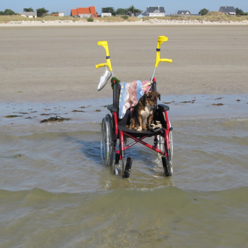 Rollstuhl mit Gehhilfe am Strand